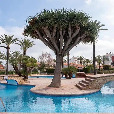 El Palmar Oliba * Denia