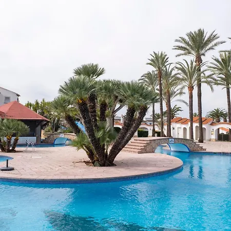 El Palmar Oliba Denia